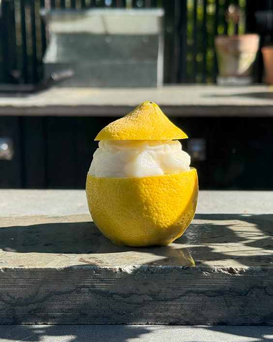 Minns du också de där frysta citronerna med sorbet i som serverades på restauranger vid Medelhavet? Här är vårt Citronsorbet Recept